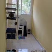 Hotel para Gatos