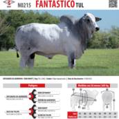 Touro Nelore Fantástico TUL (N0215)