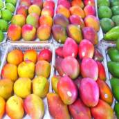 frutas