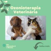 Ozonioterapia Veterinária
