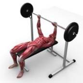 Musculação Terapêutica