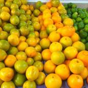 frutas