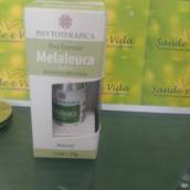 Melaleuca