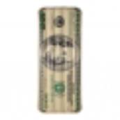 Boia Inflável Especial Gigante - Dólar