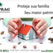 Bioprag Dedetizadora