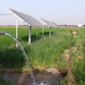 Bombeamento solar: água sem depender da rede elétrica