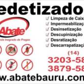 Dedetização
