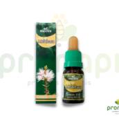 Óleo Native Melaleuca 10ml