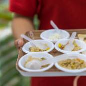 Plano Nutricional Pequenos Atletas em Araruama