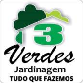 TUDO QUE A 3 VERDE FAZ...