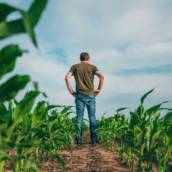 Livro Caixa Produtor Rural em Santana do Itararé, PR