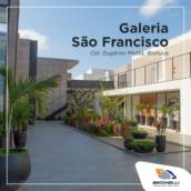 Venha conhecer a Galeria São Francisco! Localizada na principal rua de Boituva, conta com lojas, escritórios, infraestrutura completa e moderna, pronta para o seu negócio. 