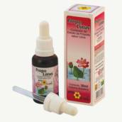 PROPOLÓTUS 30ml - Apis Flora