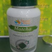 Matcha- Fauna & Flora