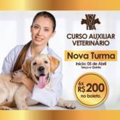 Curso Auxiliar Veterinário