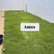 Manutenção de jardins