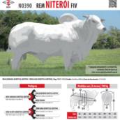 Touro Nelore Rem Niterói FIV (N0390)