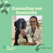 Consultas Veterinárias em Domicílio