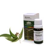 ÓLEO ESSENCIAL DE MELALEUCA