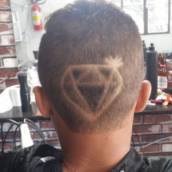 Corte