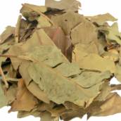 Jambolão 1kg