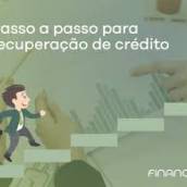APOSTILA CURSO DE RECUPERAÇAO       DE CREDITO