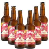 BERGGREN APA