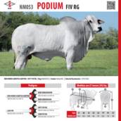 Touro Nelore Podium FIV RG (NM053)
