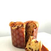 Chocotone em Dois Vizinhos, PR por Panificadora Avenida