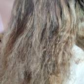 Platinado