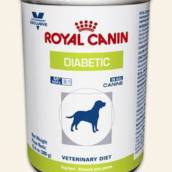 LATA DIABETC ROYAL CANIN