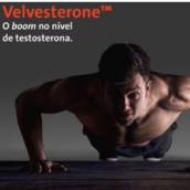 Velvesterone 250mg 30 cápsulas