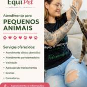 Atendimento Veterinário Domiciliar em Pipa