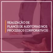 Realização de Planos de Auditorias nos Processos   Corporativos