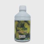 Suco de Aloe Vera sabor Laranja 500ml - Naturama