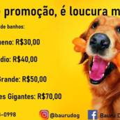 Banho - Porte Médio