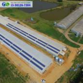 ENERGIA SOLAR PARA AVIÁRIOS
