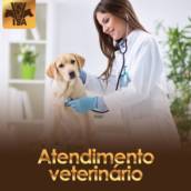 Atendimento Veterinário