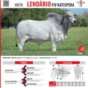 Touro Nelore Lendário FIV Katispera (N078)