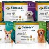 Simparic 10,1 a 20 kg