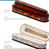 Urna ref 10