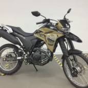 LANDER 250 ABS 