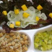 Comida Fitness