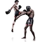 Muay Thai