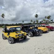 Passeio de buggy