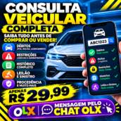 CONSULTA DE PLACA - DÉBITOS, MULTAS, LEILÃO E SINISTRO