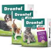 DRONTAL 