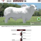 Touro Nelore Danúbio FM (N0329)