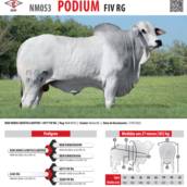 Touro Nelore Podium FIV RG (NM053)