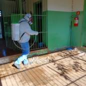 Controle de Pragas em Cândido Mota, SP